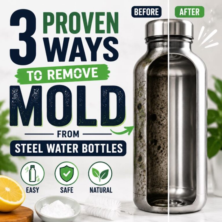 3 Proven Ways to Remove Mold from Steel Water Bottles