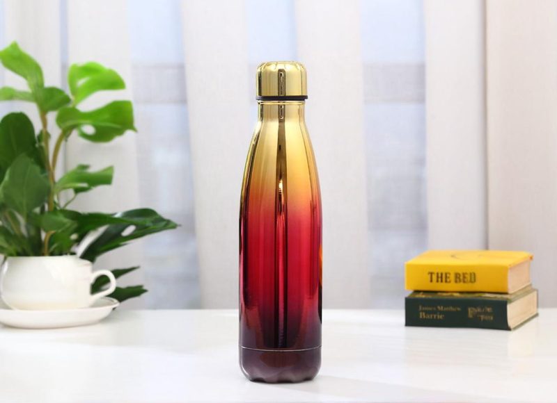 Portable Stainless Steel Vacuum Insulated Water Bottle (2)